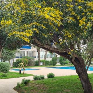 Le printemps arrive doucement à Essaouira…&nbsp;🌼🌊